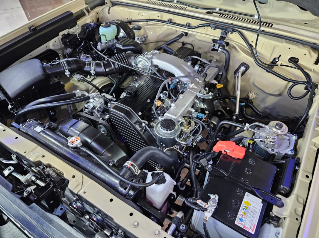 2025 TOYOTA LAND CRUISER 79 GAME VIEWER M/T